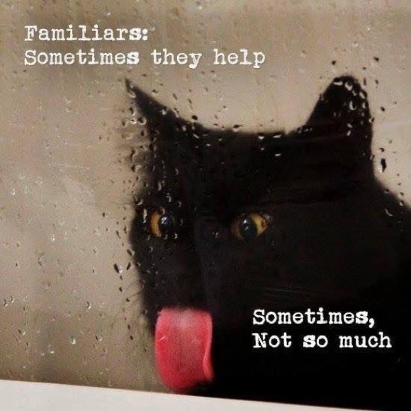 $3 WITCH CAT PIN BROOCH. ENAMEL METAL. NEW. $3 IF BUNDLED - Picture 11 of 16